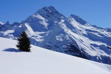 Ferienwohnung Le Studio D'Emma La Plagne Exterior foto